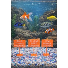 Akvaryum Dekoratif Esprili Tabela Seti (3'lü Paket) - Turuncu Seri 7x5 cm