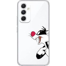 Mobilpad Samsung Galaxy S25 Plus Uyumlu Baskılı Yumuşak Silikon Şeffaf Telefon Kılıfı