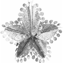 Gümüş Yıldız Asma 3 Boyutlu Uğur Böceği Çark Süs