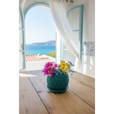 Fılamentim Floranti Undoria Tasarım Dekoratif Saksı 135X135X120MM NO.1013-1.10.Y-18-T