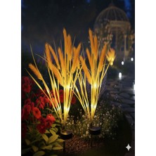 Dream Plus Buğday Başak Demeti Solar Güneş Enerjil Buğday Demeti Bahçe Aydınlatma Saksı Işığı 2 Adet