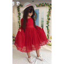 Diamondstar Kız Çocuk Parti Kıyafeti Dogum Günü ve Gösteri Kostümü Elbisesi 2/13 Yaş