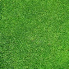 CP Model Yeşil Mimari Maketler Için Hazır Çim Kaplama, 33X41 cm