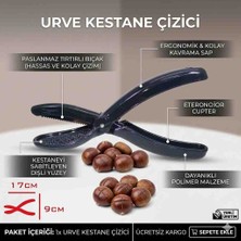 Urve Kestane Çizici UR-3366