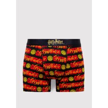 Mavi Harry Potter Baskılı Siyah Boxer 0912219-900