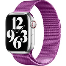 Apple Watch 7 45MM Uyumlu Kordon Hasır Metal Mıknatıslı Zore Band-01 Kayış