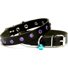 LTG Nova Taşlı Kedi ve Yavru Köpek Tasması 1,2X26 cm Siyah Large