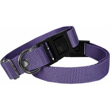 LTG Nova Köpek Tasması Dokuma 2 cm - Min: 30 cm - Max: 50 cm Mor