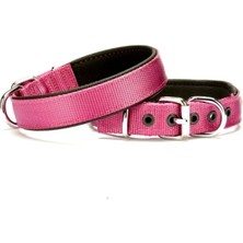 LTG Nova Softlu Dokuma Köpek Tasması 2,5 cm x 50 cm Mor