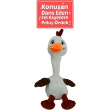 NW NessiWorld 50107 40 cm Konuşan Şaşkın Civciv -Hly