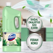 Domestos Bio Active Mutfak Çamaşır Suyu 1850 ml 2 Adet Maksimum Hijyen Doğal Okaliptus Özlü
