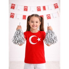 Parti Adresi Gümüş Metalik Ponpon – Milli Bayram Gösteri Ponponu 2'li