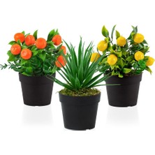 Çiçekmisin 3’lü Set Siyah Mini Plastik Saksıda Yapay Mandalina, Aloe Vera ve Limon Çiçeği
