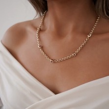 Altıntaş Kalp Küplü Doç Zincir Altın Kolye