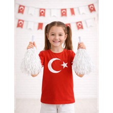Parti Adresi Beyaz Metalik Ponpon – Milli Bayram Gösteri Ponponu 2'li