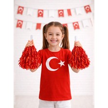 Parti Adresi Metalik Ponpon Kırmızı 2'li