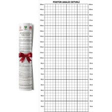And Postür Analiz Cetveli Tablosu - Posture Analysis Grid + WADA 2026 Yasaklılar Listesi Hediyeli