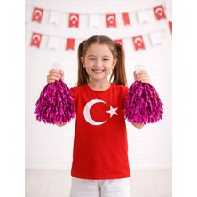 Parti Adresi Fuşya Metalik Ponpon – Milli Bayram Gösteri Ponponu 2'li