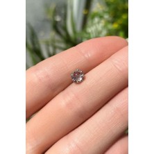 Spossy Silver Jewelry Yuvarlak Piercing Küpe