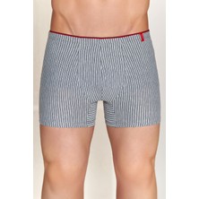 4433 Berrak Erkek Çizgili Boxer 10LU Gri