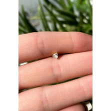 Spossy Silver Jewelry Kalp Piercing Küpe