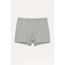 4430 Berrak Erkek Bambu Boxer 5li Gri