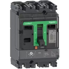 Schneider Electric C16F3TM160 Compact Şalter NSX160F 36KA Ac 3P3D 160A Tmd