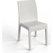 Retro Art Lilyum 6'lı Kolsuz Balkon Sandalyesi