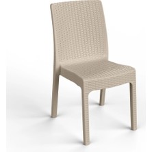 Retro Art Lilyum 4'lü Set Kolsuz Balkon Sandalyesi