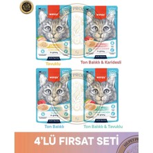 Wanpy Pouch Tavuk & Ton Balık - Karides & Ton Balık & Ton Balık - Tavuk Yetişkin Kedi Yaş Maması Seti 4x70 gr