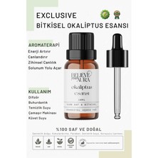 Believe Your Aura Bitkisel Okaliptus Esansı - %100 Saf ve Bitkisel Buhurdanlık Difizör Exclusive Ortam Kokusu - 10 ml