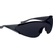 Delta Plus Egon Smoke Füme Iş Gözlüğü