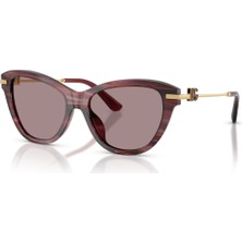 Dg 4534 3474LA 53 Dolce & Gabbana Güneş Gözlüğü