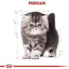 Royal Canin Persian Yavru Kedi Maması 2 kg Av Eti Lezzeti ile Sağlıklı Büyüme Desteği