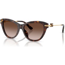 Dg 4534 502/13 53 Dolce & Gabbana Güneş Gözlüğü