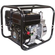 Palmera Pa 250 T Su Motoru Benzinli 5.5hp 2''inç