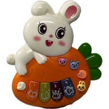 Denizatı Tavsanlı Pıllı Pıyano Bebek Oyuncağı