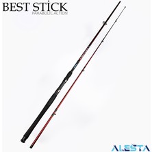Alesta Best Stıck 180 cm 50-100G 2p