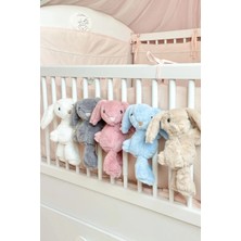 Eco Sepet Hediyelik Oyuncak