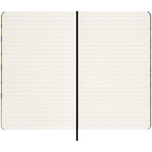 Data Store Özel Seri Professional Silk Sari L Boy Defter - Kutulu