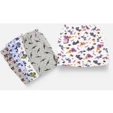 Sedef Yıldızı 1037 Sedef Çocuk Emprime Desenli Boxer 12LI Paket