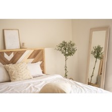 Postotto PO Ahşap Yatak/baza Başlığı