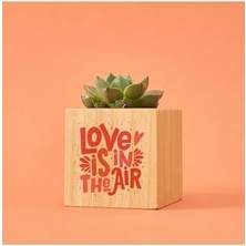 Data Store Tasarımlı Aşk Hediye Kutusu