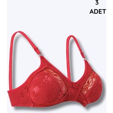 1006 Ebru Toplayıcı Lez Ara Dantel 3lü Paket Bordo