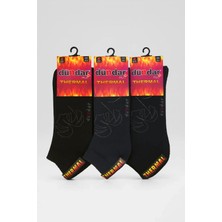 Dündar Çorap 5954 Dündar Kadın Termal Patik 12LI M3