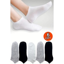 Pamuksu 6lı Patik Çorap 36-40 Karışık