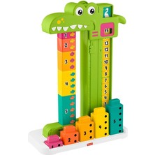 Urfakent JCT13 Matematikçi Timsah