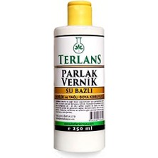 Data Store Su Bazlı Parlak Vernik 250 ml Akrilik ve Yağlı Boya Koruyucu