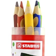 Data Store Easycolors - Ergonomik Kuru Boya Kalemi - 6 Renkli Tüp - Sağ