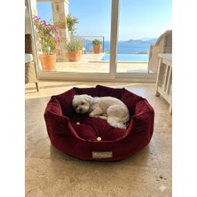 Patitex Ultra Lüx Özel Seri Kedi ve Köpek Yatağı